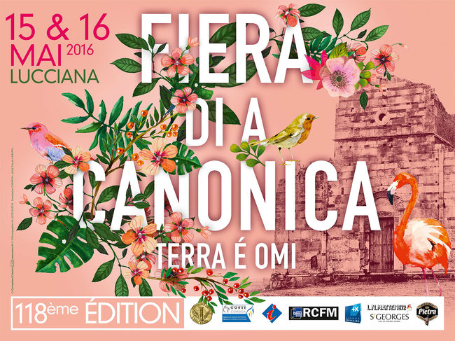 fiera-di-a-canonica_page_slider