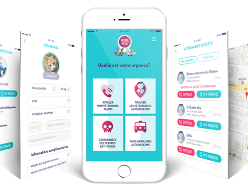 Une application pour trouver un vétérinaire en urgence partout en France