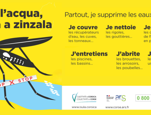 Lutte contre les moustiques